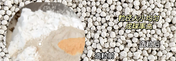 科尼樂造粒效果 科尼樂造粒效果